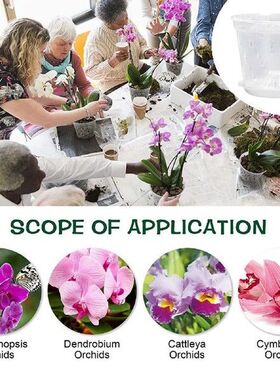 Orchid Pots For Repotting Orchid Pot With Drainage Holes