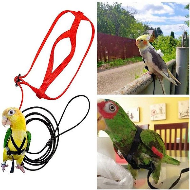 training flying traction rope anti-bite training rope bird