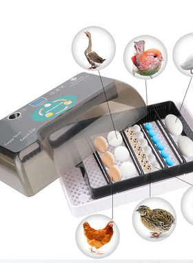 Chicken Bird Quail Brooder Automatic Eggs Incubator Cheap