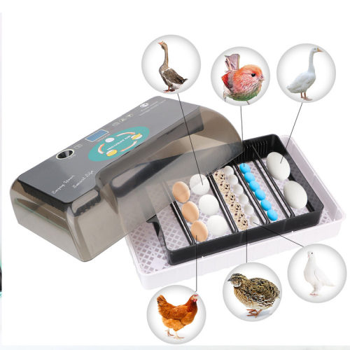 Chicken Bird Quail Brooder Automatic Eggs Incubator Cheap