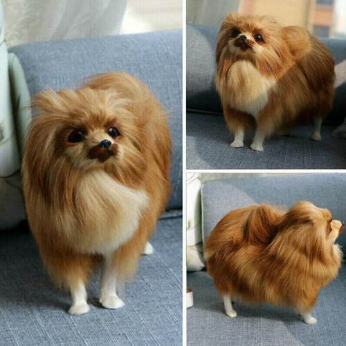 1Pc Simulation Pomeranian Dog Toy Animal Model Cute Toy Pet
