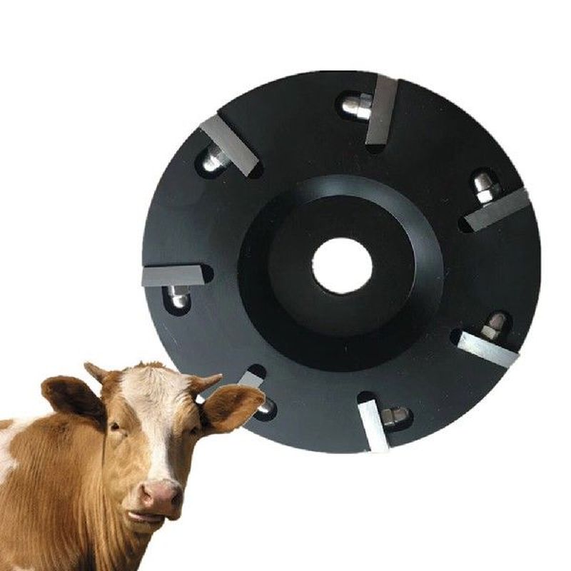 cow cattle hoof trimming angle grinder cutter livestock