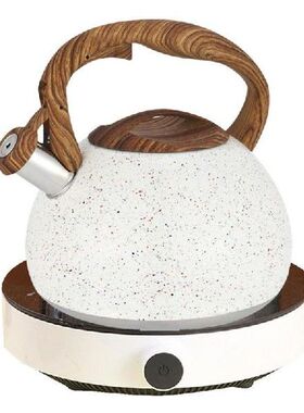 Whistling Tea Kettle Stainless Steel Stovetop Kettle Water
