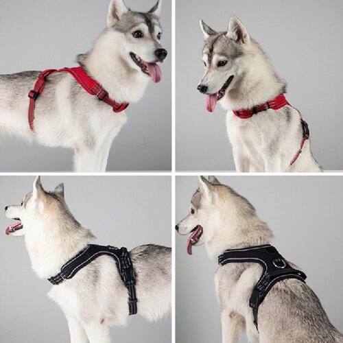 Adjustable Pet Chest Strap Training Dog Harness Vest