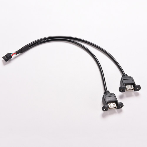 30cm/1FT 2 Port USB A Female to Internal 9 Pin Header Adapte