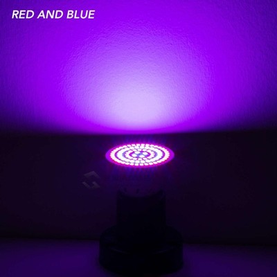 E27 Greenhouse LED Light Grow Tent E14 Hydroponics G10 Plant