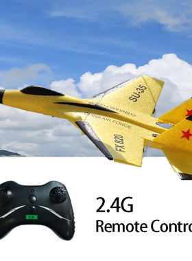 1Pcs FX-820 2.4G 2CH SU-35 Glider Wingspan EPP RC Airplane R