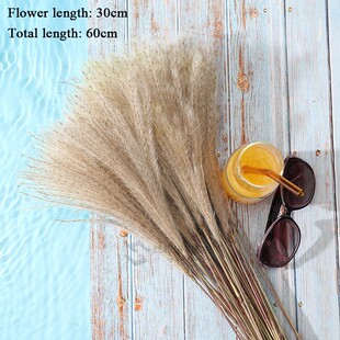 10 Pcs Pampas Grass Real Dried Plants Decor Wedding Flower