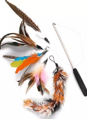 6pcs/set Pet Cat Toy Fishing Rod Retractable Feathers Funny