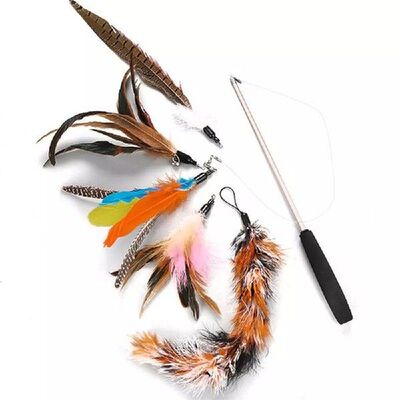 6pcs/set Pet Cat Toy Fishing Rod Retractable Feathers Funny
