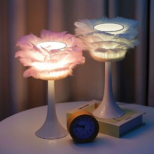 Warm Romantic Feather Table Lamp USB Remote Control Dimming
