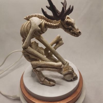 Hot Wendigo Skeleton Curiosity Cabinet Skeleton Fossil