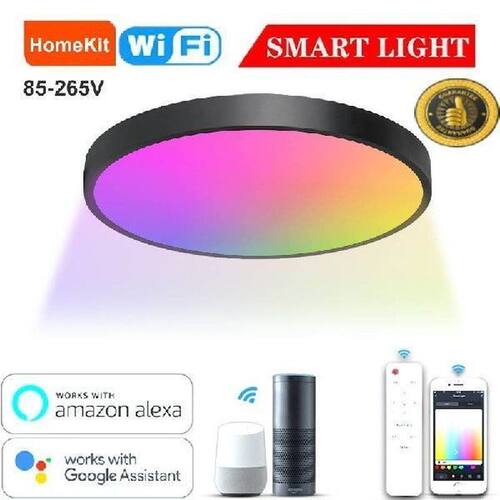 Ceiling Lights Homekit 30W 2200LM Indoor Lighting For Home
