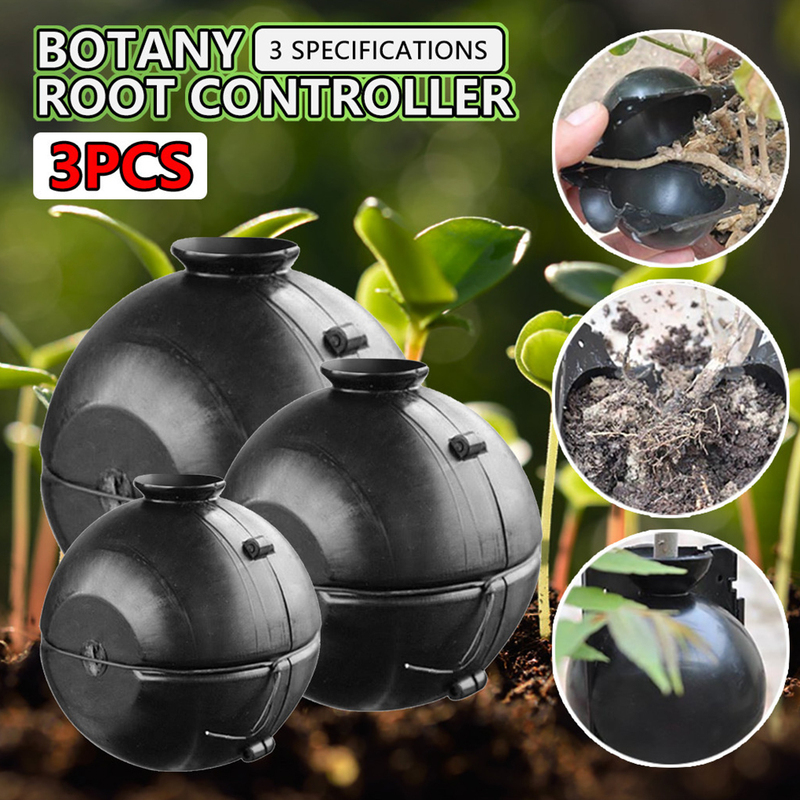3pcs Plant Rooting Ball Grafting Growing Box Breeding Case