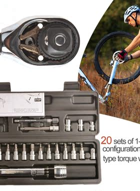 Car Repair Tools 20Pcs Torque Wrench 1/4 1-25Nm Preset