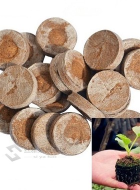 10/20/50Pcs Jiffy Peat Pellets Seed Starting s Seeds Starter