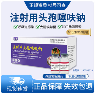 注射用头孢噻呋钠猪牛羊猫鸡鹅猪呼吸道感染大肠埃希菌消炎药兽药