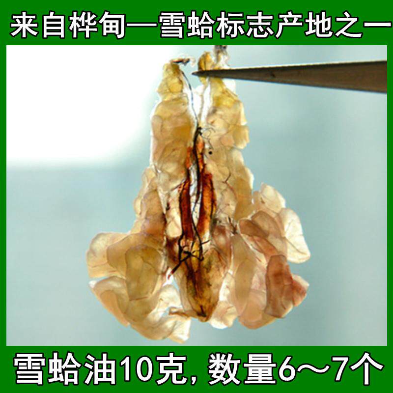 雪蛤6年蛙白山林g蛙油蛤蟆油ZGX干货新鲜长10礼盒联体雪油哈膏炖