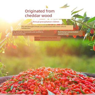 格拉三江红格青藏青藜枸杞青海尔木枸杞子免洗大颗粒红枸杞05g0*1