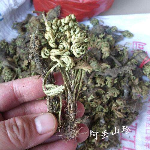 广西金秀大瑶山传统滋补其他农家土品产卷柏 25克0干食 干IJA货材