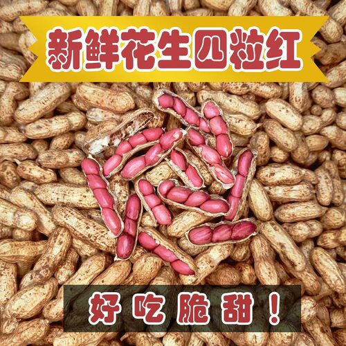 2026头茬新鲜花生现挖带壳四粒红湿花生农家带皮自种红皮带泥花生