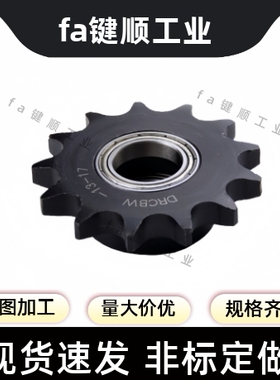 链轮链条 SP50B15-N-15/16/17/18/19/20/22/24/25/28/30/32/35/38