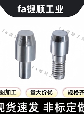 定位销 大头锥角型YPR01 YPR11 YPR31 YPR41 YPR61 71 非磁性型