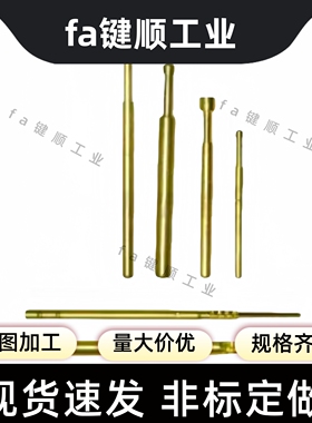 NPT1-V-F-A1 NPT2-V-B-F-A1-D探针座NRT1-SC-CR  NRT2-CR-SC探针