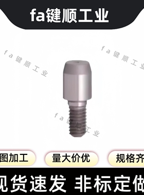 外螺纹型 JPNBB CJPNBB SJPNBB 3 4 5 6 8 10定位销 大头锥角型