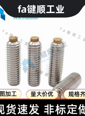 TDA31 不锈钢 粗牙 内六角止动螺栓铜头 紧定螺丝 SBCPS8精品