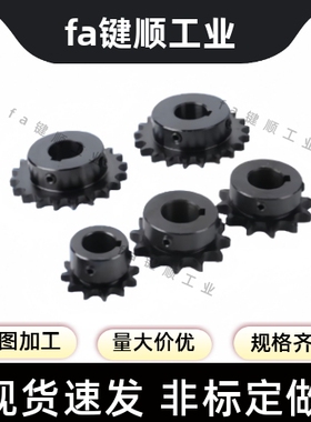 链轮链条SP50B25-N-24/25/28/30/32/35/38/40/45