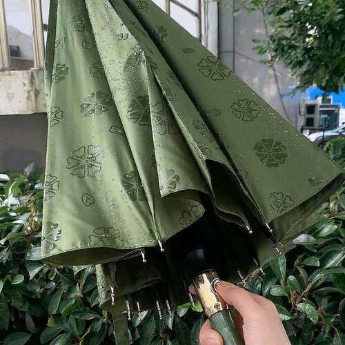 雨伞遇水开花高颜值创意
