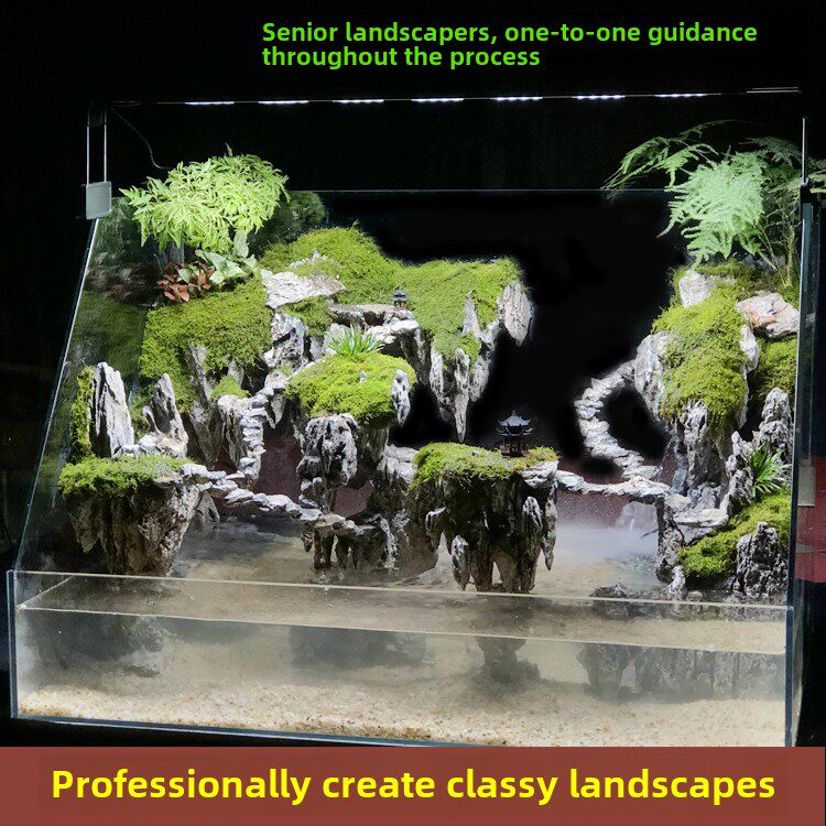 水陆池景观成品包小微景观骨架石雾化超白玻璃生态鱼缸