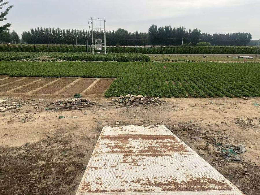 1月26日唐山土地使用权及冷库、辅助房及院内附属设施网络拍卖公告