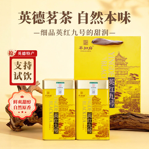 茶知府正宗红茶英德红茶英红九号