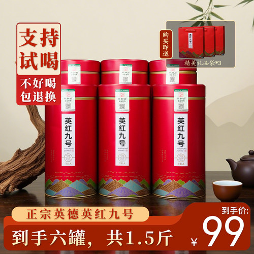 茶知府红茶英德红茶英红九号