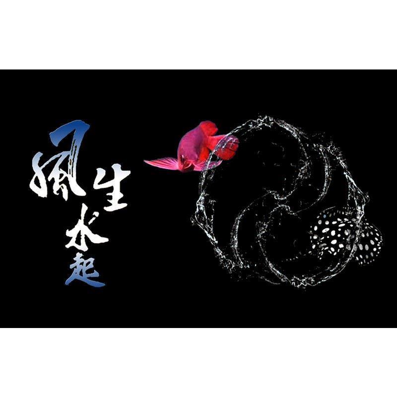 鱼缸背景贴纸3d立体高清图鱼缸壁纸背景纸壁画自粘水族箱风生水起