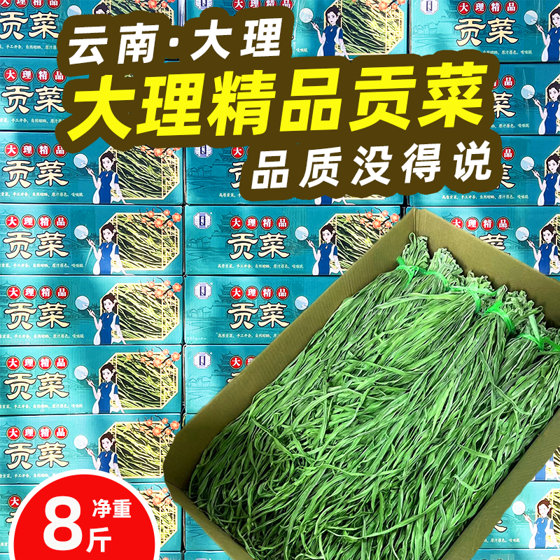 识蜀记精品贡菜一箱商用干贡菜响菜火锅干苔菜大理漾濞农家菜8斤