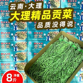 识蜀记精品贡菜一箱商用干贡菜响菜火锅干苔菜大理漾濞农家菜8斤