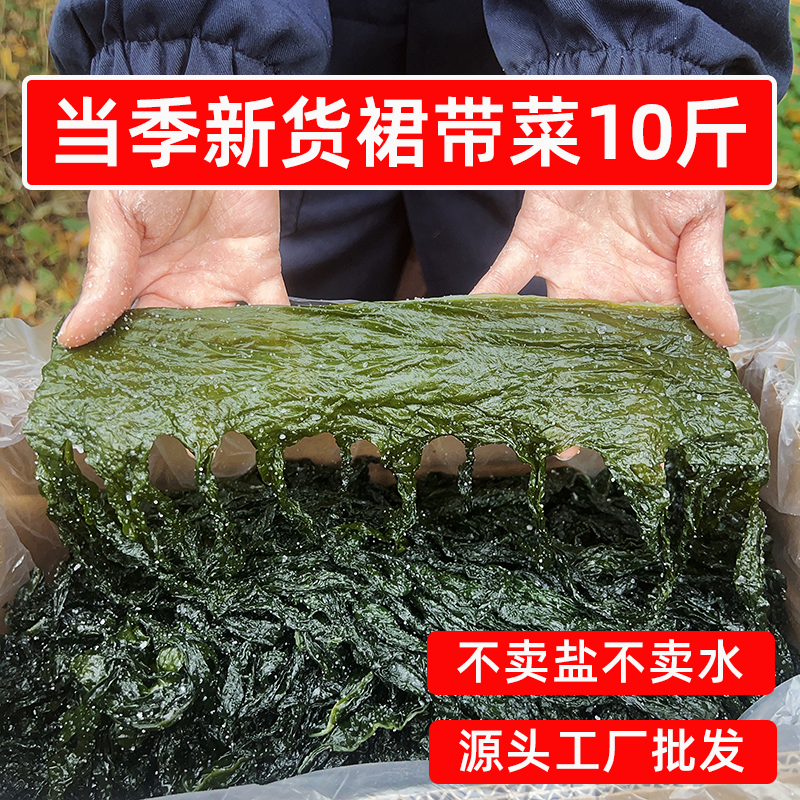 当季新鲜盐渍裙带菜10斤整箱海带芽嫩苗麻辣烫火锅食材商用半干货,水产肉类/新鲜蔬果/熟食,裙带菜,淘宝优惠券,粉丝福利购,淘宝优惠卷