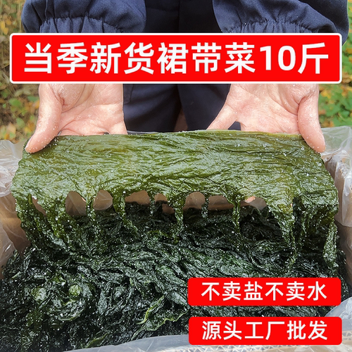 当季新鲜盐渍裙带菜10斤整箱海带芽嫩苗麻辣烫火锅食材商用半干货