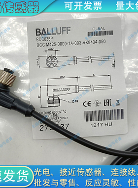 BCC0HW2 BCC M428-0000-1A-069-PX4825-100-C033信号延长线