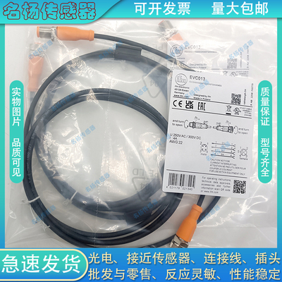 中国插头连接线电感式