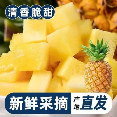 正宗现摘徐闻新鲜菠萝精选大果广东湛江香水大个菠萝一整箱