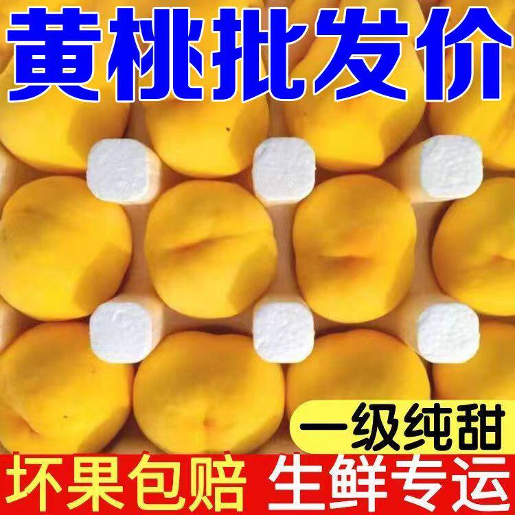 陕西黄桃应当季水果产地直发桃子整件包邮新鲜黄金蜜毛桃5斤包邮