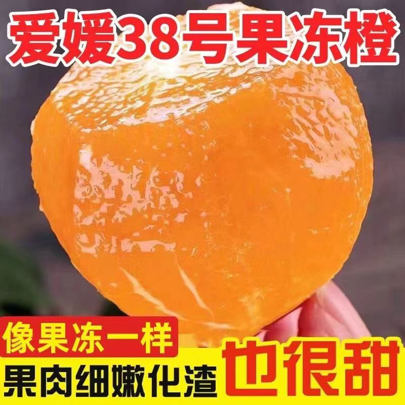 四川爱媛38号新鲜果冻橙当季橙子水果甜柑橘9斤整箱批发大果包邮