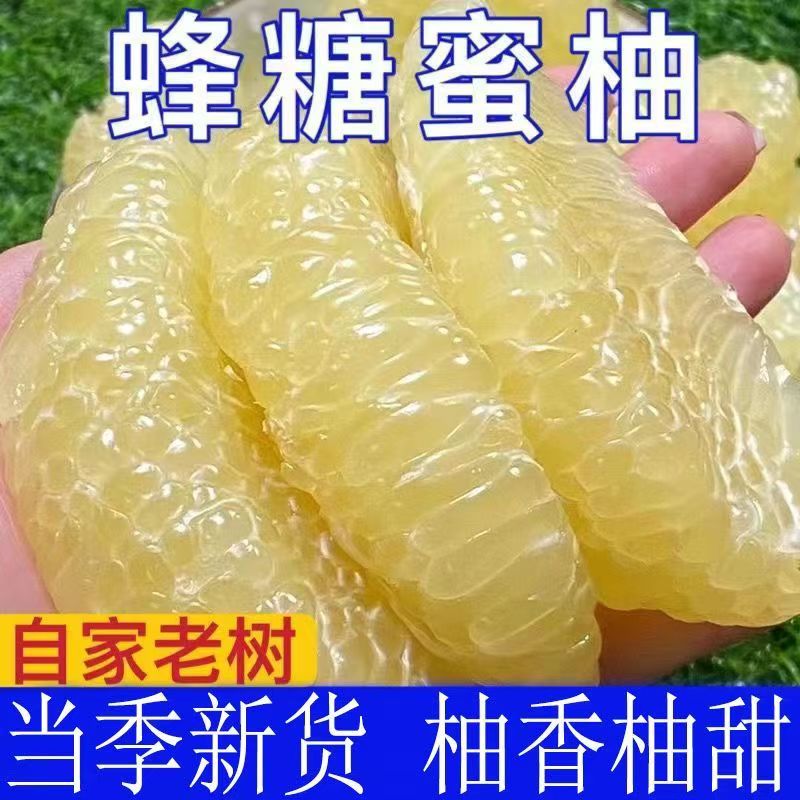 当季新鲜水果广东蜜柚白柚子新鲜时令水果甜蜜多汁正宗琯溪柚子