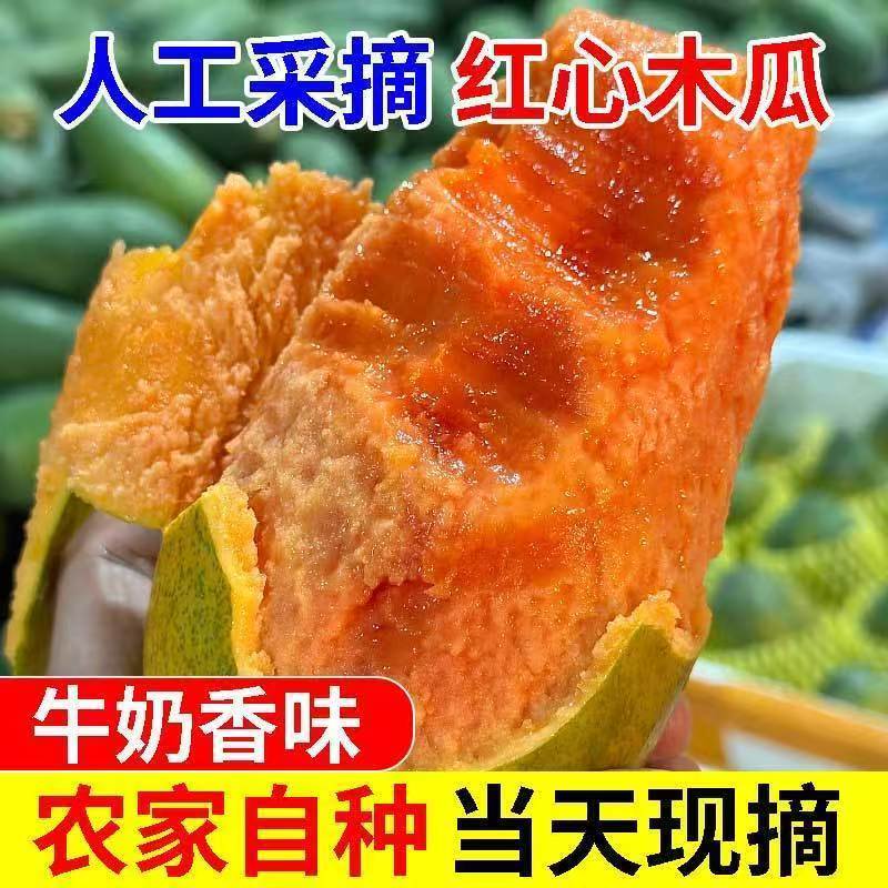 广西牛奶冰糖红心木瓜装新鲜产地直发当季水果多汁好吃的现摘