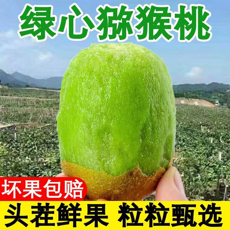 正宗陕西绿心猕猴桃应当季新鲜奇异果弥糊桃批发整箱包邮鲜果