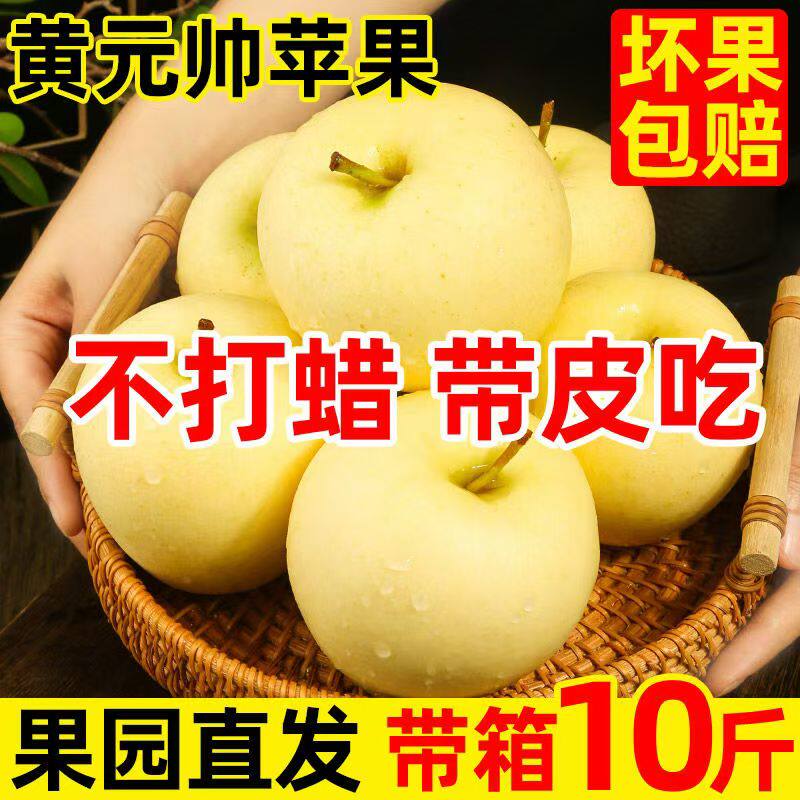 黄元帅苹果新鲜水果黄金帅应季粉面宝宝辅食刮泥丑苹果